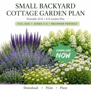 May include: A printable 10 ft x 8 ft garden plan titled SMALL BACKYARD COTTAGE GARDEN PLAN. The graphic features text stating FULL SUN, ZONES 4-8, BEGINNER FRIENDLY, and a green starburst with the text DOWNLOAD NOW, plus Download, Print, Plant.