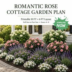 Romantic Rose Cottage Garden Plan PDF, 10x6 Printable Flower Bed Layout, Hydrangea & Pink Rose Front Yard Planting Plan, Zones 4-8