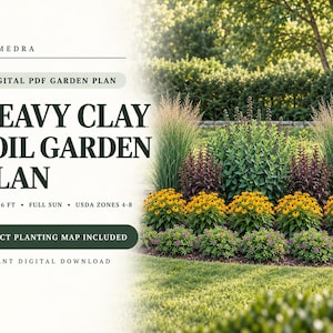 May include: A digital PDF garden plan for heavy clay soil measuring 12 ft x 6 ft for full sun in USDA zones 4-8. The text reads PLUMEDRA, DIGITAL PDF GARDEN PLAN, HEAVY CLAY SOIL GARDEN PLAN, EXACT PLANTING MAP INCLUDED, INSTANT DIGITAL DOWNLOAD.