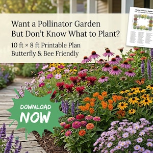May include: A vibrant garden bed filled with colorful flowers, including purple coneflowers, orange zinnias, and yellow black-eyed susans. Text reads: "Want a Pollinator Garden But Don't Know What to Plant?" and "10 ft x 8 ft Printable Plan Butterfly & Bee Friendly."