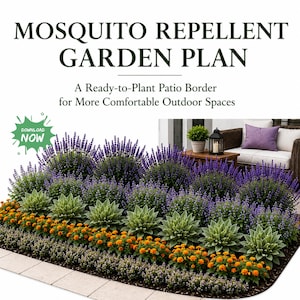 May include: A digital garden plan titled MOSQUITO REPELLENT GARDEN PLAN with the subtitle A Ready-to-Plant Patio Border for More Comfortable Outdoor Spaces. The image displays a garden bed with purple lavender, green succulents, and orange marigolds.