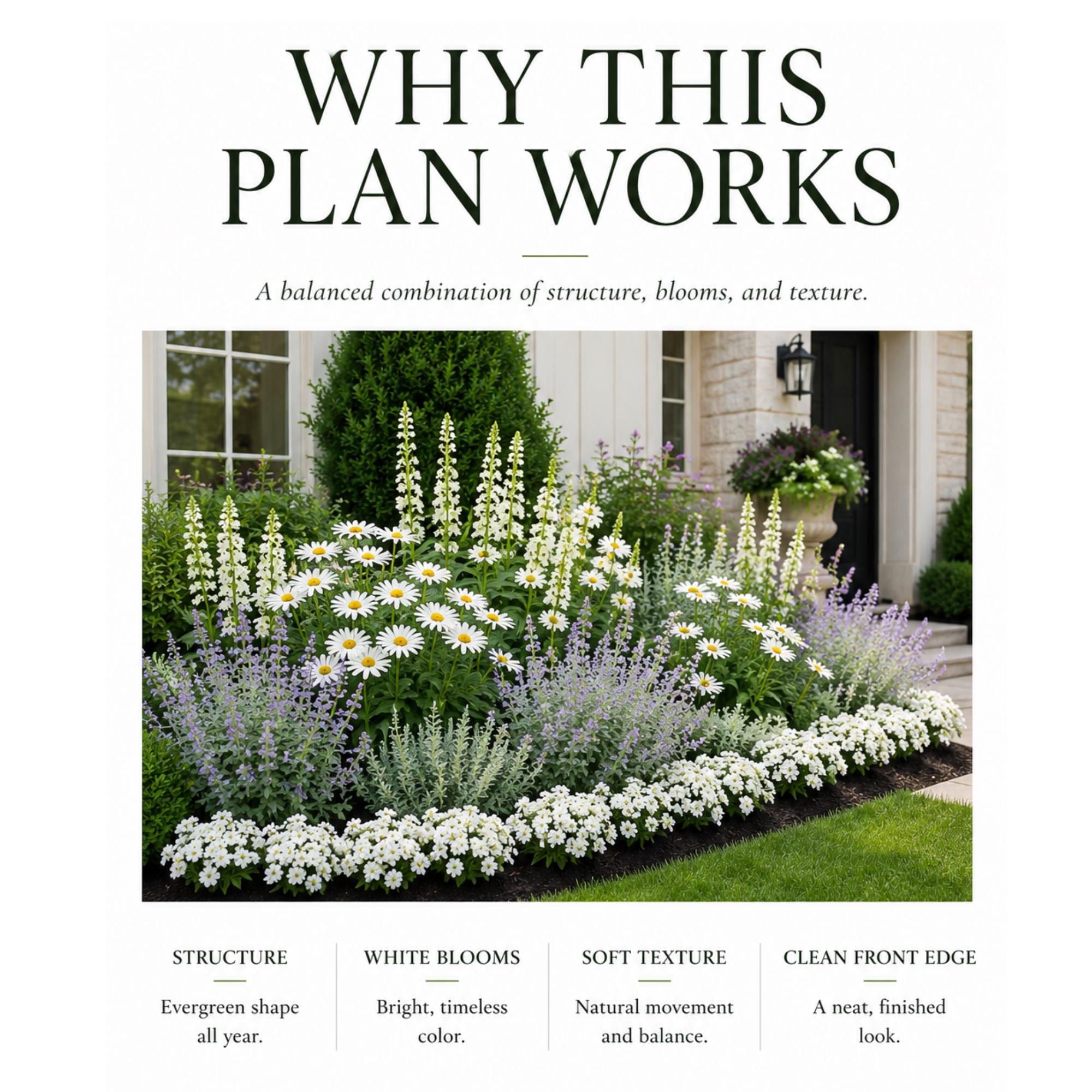 White Cottage Garden Plan PDF, Full Sun Flower Bed Layout, Front Yard ...
