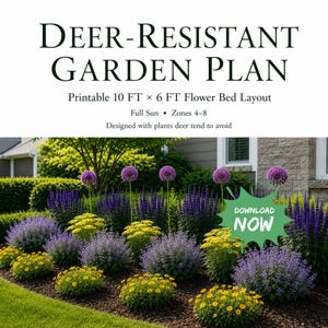 May include: A printable 10 FT x 6 FT flower bed layout titled DEER-RESISTANT GARDEN PLAN. The image shows a garden with purple allium, blue salvia, and yellow flowers, featuring text: Full Sun, Zones 4-8, Designed with plants deer tend to avoid.