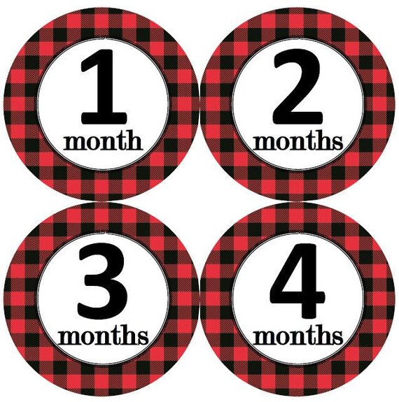  Months In Motion My First Holiday Tie Baby Boy Stickers  Milestone Christmas, Birthday, Halloween, Easter, Thanksgiving Baby  Stickers - Shower Gift : Electronics