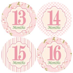 13-24 tweede jaar maandelijkse mijlpaal groei Stickers Shabby elegantie Floral Bloemen licht roze Girl kinderkamer thema MS410 Baby douche babygift