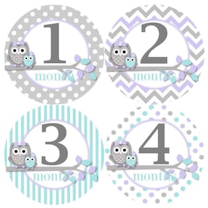 Baby maandelijkse mijlpaal groei Stickers in lavendel Aqua grijs uilen MS326 kwekerij thema Baby douche cadeau Baby Foto Prop