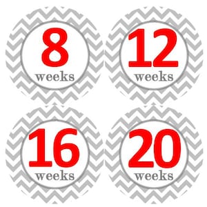 ZWANGERSCHAP stickers grijs Chevron rood MS137 baby maandelijkse mijlpaal groei Boy Baby Girl thema baby douche cadeau baby foto prop