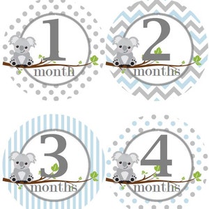 Baby mensile Milestone crescita adesivi Baby Blue con grigio koala MS508 Baby Nursery tema Baby doccia regalo Baby foto Prop