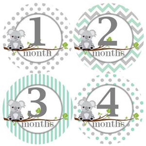 Baby maandelijkse mijlpaal groei Stickers Mint met grijze Koalas Baby Nursery thema MS945 Baby douche cadeau Baby Foto Prop