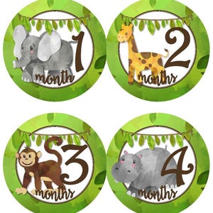 Baby Monthly Milestone Growth Stickers Jungle Safari Wild Animals Nursery Theme MS940 Baby Shower Gift Elephant Giraffe Monkey Hippo Lion