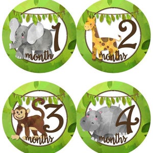 Baby maandelijkse mijlpaal groei Stickers Jungle Safari wilde dieren kinderkamer thema MS940 Baby douche Gift olifant giraf Monkey Hippo Leeuw