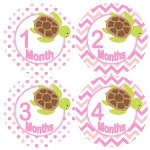 Baby maandelijkse mijlpaal groei Stickers in Pinks met groene zee schildpadden kinderkamer thema MS930 Baby douche cadeau Baby Foto Prop