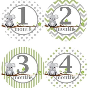 Baby maandelijkse mijlpaal groei Stickers Sage groen grijs Koala's Baby Nursery thema MS562 Baby douche cadeau Baby Foto Prop
