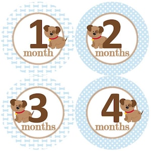 Baby maandelijkse mijlpaal groei Stickers in blauw bruin Puppies Puppy honden poten hondje botten MS926 kwekerij thema Baby douche Gift babyfoto