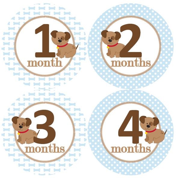 Baby Monthly Milestone Growth Stickers in Blue Brown Puppies Puppy Dogs Paws Doggy Bones MS926 Nursery Theme Baby Shower Gift Baby Photo - Etsy Baby Monthly Milestone Growth Stickers in Blue Brown Puppies Puppy Dogs Paws Doggy Bones MS926 Nursery Theme Baby Shower Gift Baby Photo - Etsy