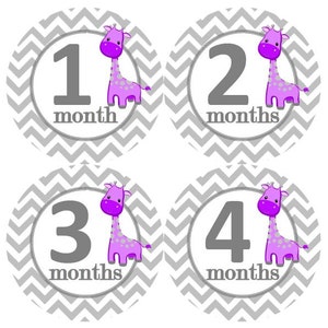 Baby maandelijkse mijlpaal groei Stickers paars met grijs punthaken giraffen kinderkamer thema MS908 Baby meisje douche cadeau Baby Foto Prop
