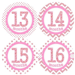Baby 2e tweede jaar 13-24 maandelijkse mijlpaal groei Stickers roze Glitter Dots punthaken MS004 kwekerij thema Baby douche cadeau Baby Foto Prop