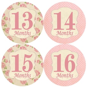 2e tweede jaar 13-24 Baby maandelijkse mijlpaal groei Stickers Shabby elegantie Floral Vintage roze Tan Girl kinderkamer thema MS411 roze bloemen