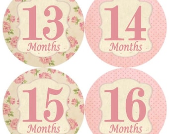 2 º segundo año 13-24 bebé mensual hito crecimiento pegatinas cutre elegancia Floral flores Vintage Pink Girl Tan infantiles tema MS411 rosa