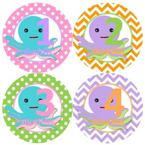 Baby maandelijkse Milestone groei stickers roze paars lavendel groen Aqua Octopus nautische zee oceaan kwekerij thema MS981 douche geschenk foto prop