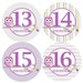 see more listings in the Baby MONTHLY Stickers section