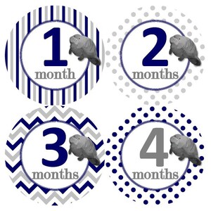 Baby maandelijkse mijlpaal groei stickers Manatee cute nautische Navy grijs kinderkamer thema MS 986 baby jongen Manatee douche cadeau baby foto prop