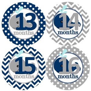 2e tweede jaar 13-24 Baby maandelijkse mijlpaal groei Stickers Marine grijs walvis kinderkamer thema MS601 Baby douche cadeau Baby Foto Prop