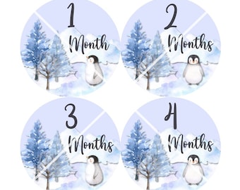 Baby Monthly Milestone Growth Stickers Penguins Arctic Watercolors Baby Nursery Theme MS992 Baby Boy Girl Shower Gift Baby Photo Prop