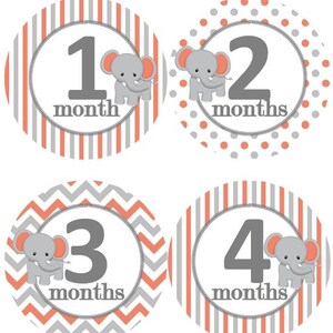Baby maandelijkse mijlpaal groei Stickers grijs koraal witte olifant kinderkamer thema MS208 Baby Boy Girl douche cadeau Baby Foto Prop