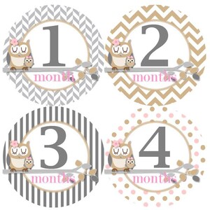 Baby maandelijkse mijlpaal groei Stickers in grijs Tan roze uilen kinderkamer thema MS325 Baby meisje cadeau Baby Foto Prop kwekerij douchegift