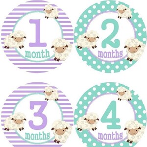 Baby maandelijkse mijlpaal groei Stickers lavendel Aqua Lamb Nursery thema MS535 Baby Boy Girl douche cadeau Baby Foto Prop