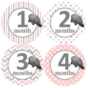 Baby maandelijkse mijlpaal groei stickers Manatee schattig nautische roze grijs kinderkamer thema MS 985 baby meisje Manatee douche cadeau baby foto prop