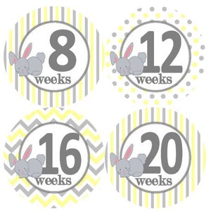 Zwangerschap Stickers Baby maandelijkse Stickers geel grijs Bunnies Bunny kinderkamer thema Baby douche Gift MS578f Baby Foto Prop