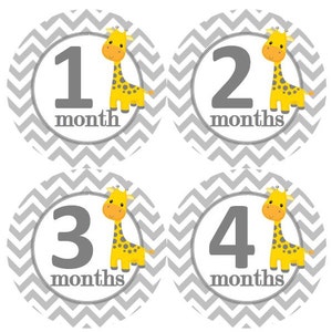 Baby maandelijkse mijlpaal groei Stickers geel met grijze dubbele punthaken giraffen kinderkamer thema MS889 Baby meisje douche cadeau Baby Foto Prop