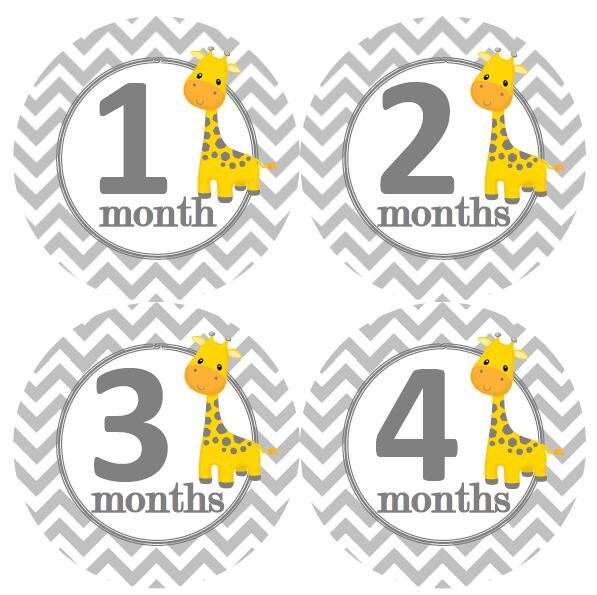 Hilarious 30 Pack Of Blue And Green Baby Milestone 4 Philippines