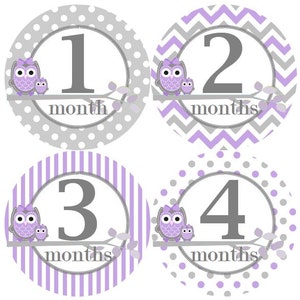 Baby maandelijkse mijlpaal groei Stickers in lavendel grijs uilen MS323 kwekerij thema Baby douche cadeau Baby Foto Prop