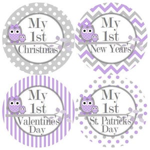Baby 1e eerste vakantie mijlpaal groei Stickers in lavendel grijs uilen MS323 kwekerij thema Baby douche cadeau Baby Foto Prop
