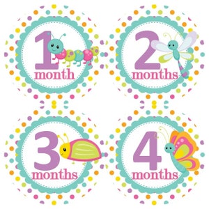 Baby Maandelijkse Mijlpaal Groei Stickers Girly Cute Bug Bugs Buggy in Roze Teal Paarse Dots Girl Nursery Thema Baby Shower Gift Photo Prop