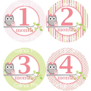 Baby maandelijkse mijlpaal groei Stickers in roze groen grijs uilen kinderkamer thema MD304 Baby douche cadeau Baby Foto Prop