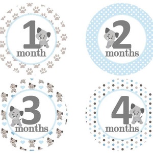 Baby maandelijkse mijlpaal groei Stickers in blauw grijs Puppies Puppy honden poten hondje botten MS528 kwekerij thema Baby douche cadeau Baby Foto Prop