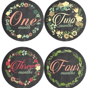 Baby maandelijkse mijlpaal groei Stickers schoolbord bloemen bloementuin partij MS591 Baby Girl kinderkamer thema Baby douche cadeau Baby Foto Prop