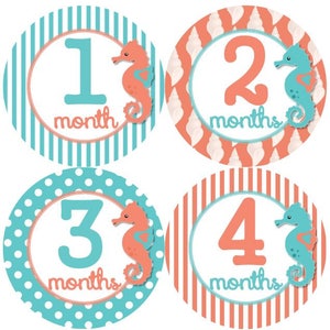 Baby maandelijkse mijlpaal groei Stickers zee schelpen zee paarden koraal Aqua nautische Oceaan zee leven MS952 Baby douche cadeau Baby Foto Prop