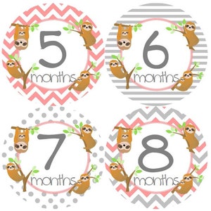 May include: Four round baby milestone stickers with pink and gray chevron, polka dot, and striped patterns. Each sticker features a sloth holding onto a branch with the numbers 5, 6, 7, and 8 and the text "months".