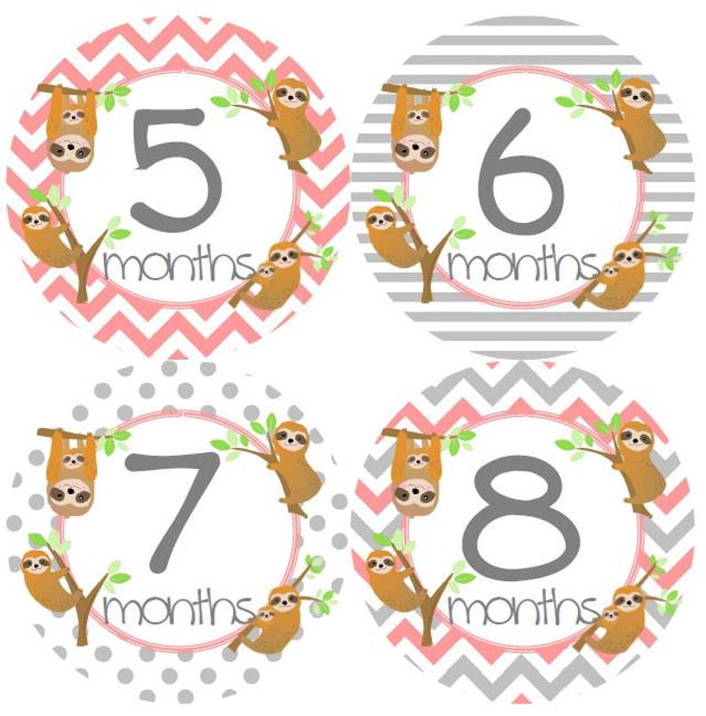 May include: Four round baby milestone stickers with pink and gray chevron, polka dot, and striped patterns. Each sticker features a sloth holding onto a branch with the numbers 5, 6, 7, and 8 and the text "months".