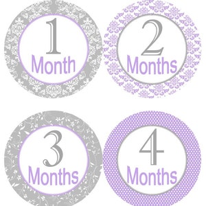 Baby maandelijkse mijlpaal groei Stickers Shabby elegantie lavendel grijs MS401 kwekerij thema Baby douche cadeau Baby Foto Prop