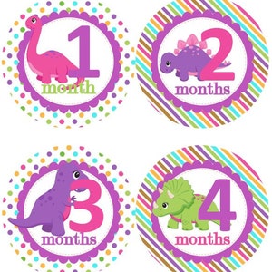 Baby maandelijkse mijlpaal groei Stickers meisjes in roze paars dinosaurus Girly MS513 kwekerij thema Baby douche cadeau Baby Foto Prop