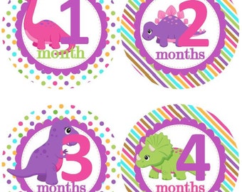 Baby Monthly Milestone Growth Stickers Girls in Pink Purple Dinosaur Girly MS513 Nursery Theme Baby Shower Gift Baby Photo Prop