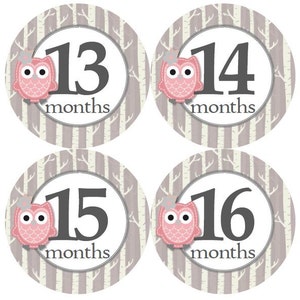 2e tweede jaar 13-24 Baby maandelijkse mijlpaal groei Stickers stoffige Rose Pink Owl berken bomen bos Forest rustieke MS921 kwekerij thema