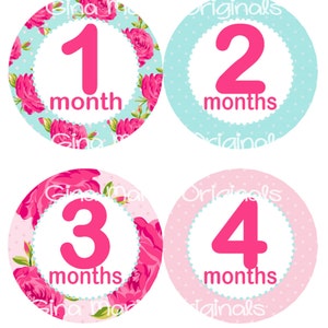 Baby maandelijkse mijlpaal groei Stickers Shabby bloemen Rozen roze blauw Aqua MS540 Baby Girl kinderkamer thema Baby douche cadeau Baby Foto Prop