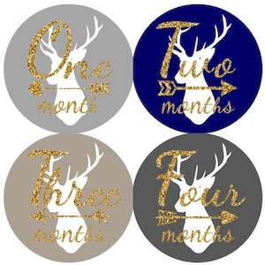 Baby maandelijkse mijlpaal groei Stickers Gold Glitter Navy grijs Tan Tribal herten pijlen kinderkamer thema MS809 Baby douche Gift foto Prop